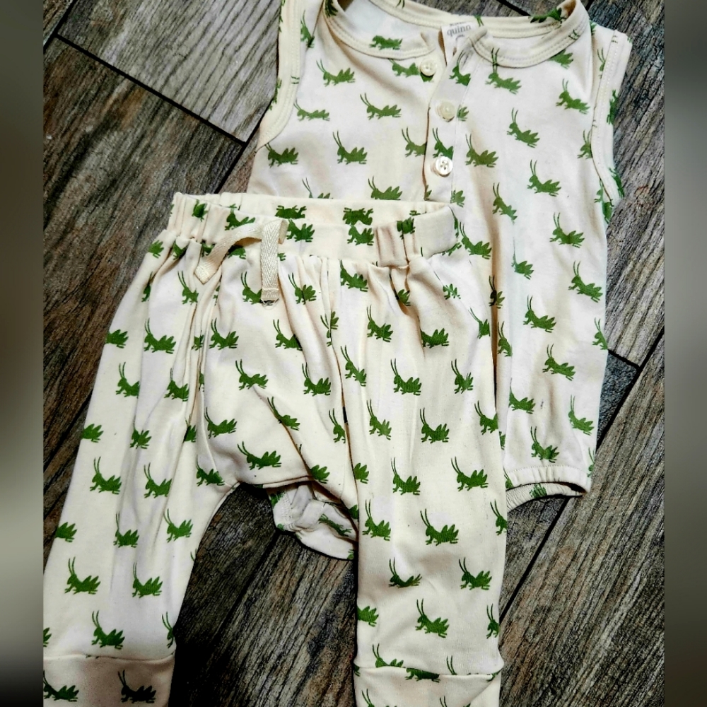 Kate Quinn Grasshopper Panda Pants 12-18m- euc& have matching Onesie!